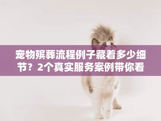 宠物殡葬流程例子藏着多少细节？2个真实服务案例带你看透行业门道