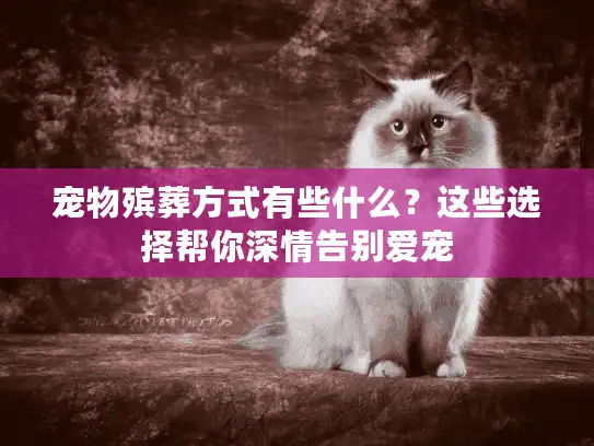 宠物殡葬方式有些什么？这些选择帮你深情告别爱宠