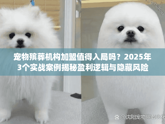 宠物殡葬机构加盟值得入局吗？2025年3个实战案例揭秘盈利逻辑与隐藏风险