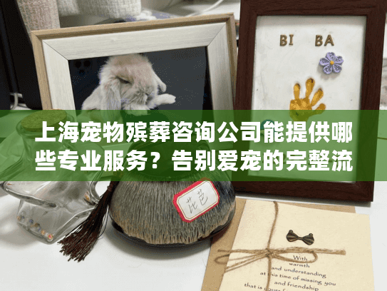 上海宠物殡葬咨询公司能提供哪些专业服务？告别爱宠的完整流程指南