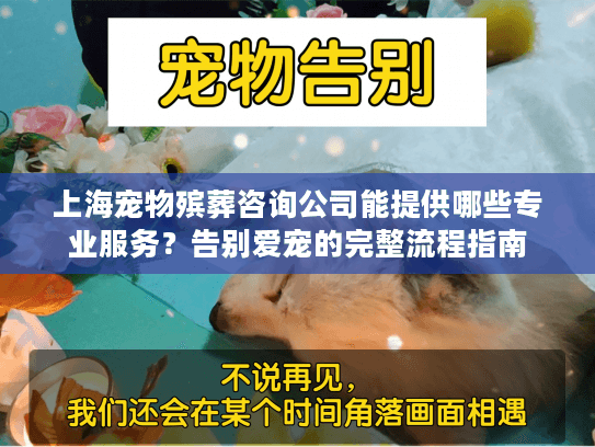 上海宠物殡葬咨询公司能提供哪些专业服务？告别爱宠的完整流程指南
