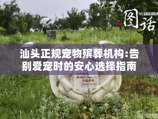 汕头正规宠物殡葬机构:告别爱宠时的安心选择指南