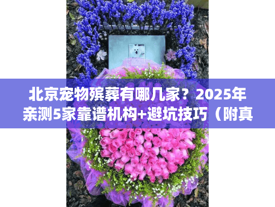 北京宠物殡葬有哪几家？2025年亲测5家靠谱机构+避坑技巧（附真实案例）