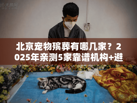北京宠物殡葬有哪几家？2025年亲测5家靠谱机构+避坑技巧（附真实案例）