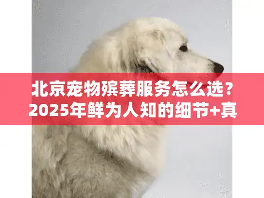 北京宠物殡葬服务怎么选？2025年鲜为人知的细节+真实避坑案例