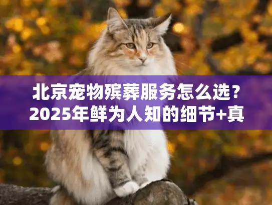 北京宠物殡葬服务怎么选？2025年鲜为人知的细节+真实避坑案例