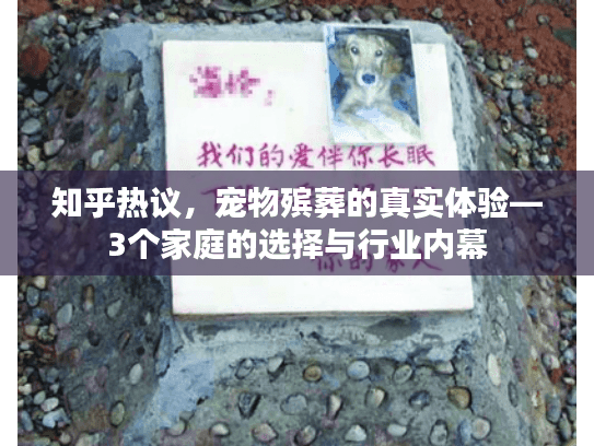 知乎热议，宠物殡葬的真实体验—3个家庭的选择与行业内幕