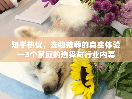 知乎热议，宠物殡葬的真实体验—3个家庭的选择与行业内幕