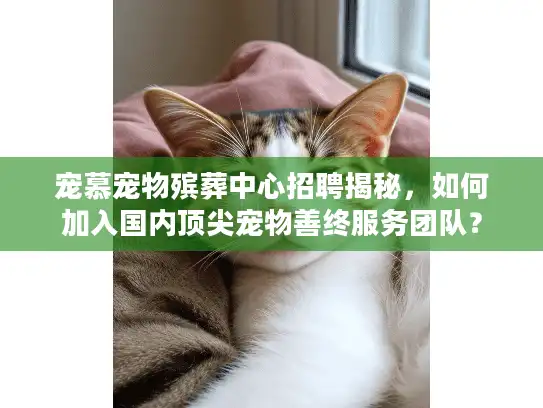 宠慕宠物殡葬中心招聘揭秘，如何加入国内顶尖宠物善终服务团队？