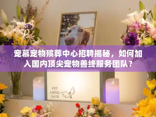 宠慕宠物殡葬中心招聘揭秘，如何加入国内顶尖宠物善终服务团队？