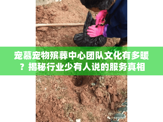 宠慕宠物殡葬中心团队文化有多暖？揭秘行业少有人说的服务真相