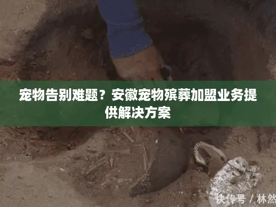 宠物告别难题？安徽宠物殡葬加盟业务提供解决方案