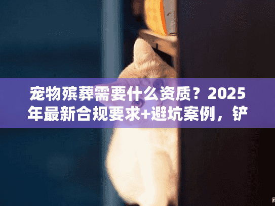 宠物殡葬需要什么资质？2025年最新合规要求+避坑案例，铲屎官必看！