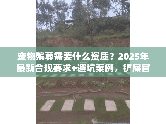 宠物殡葬需要什么资质？2025年最新合规要求+避坑案例，铲屎官必看！
