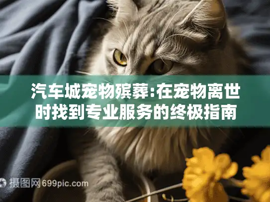 汽车城宠物殡葬:在宠物离世时找到专业服务的终极指南
