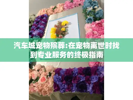 汽车城宠物殡葬:在宠物离世时找到专业服务的终极指南
