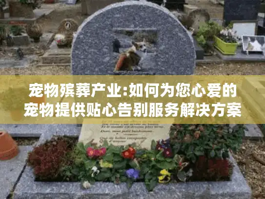 宠物殡葬产业:如何为您心爱的宠物提供贴心告别服务解决方案?