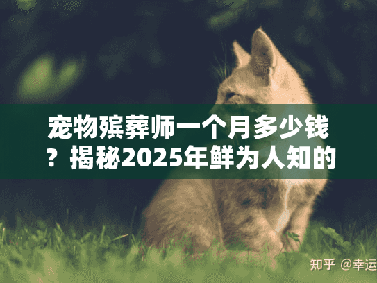 宠物殡葬师一个月多少钱?揭秘2025年鲜为人知的高薪冷门职业真相 宠物殡葬师一个月多少钱?揭秘2025年鲜为人知的高薪冷门职业真相