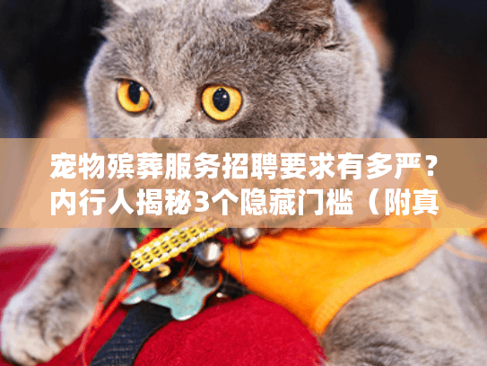 宠物殡葬服务招聘要求有多严？内行人揭秘3个隐藏门槛（附真实案例）