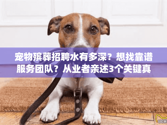 宠物殡葬招聘水有多深？想找靠谱服务团队？从业者亲述3个关键真相