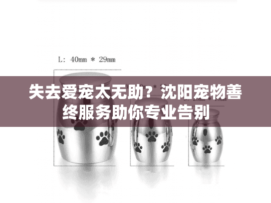 失去爱宠太无助？沈阳宠物善终服务助你专业告别