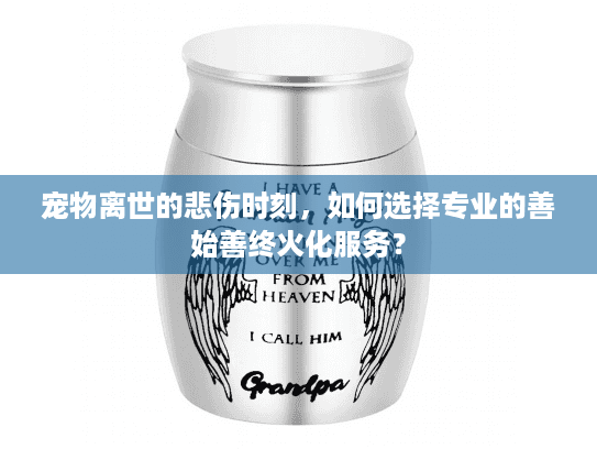 宠物离世的悲伤时刻，如何选择专业的善始善终火化服务？