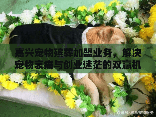 嘉兴宠物殡葬加盟业务，解决宠物哀痛与创业迷茫的双赢机遇？