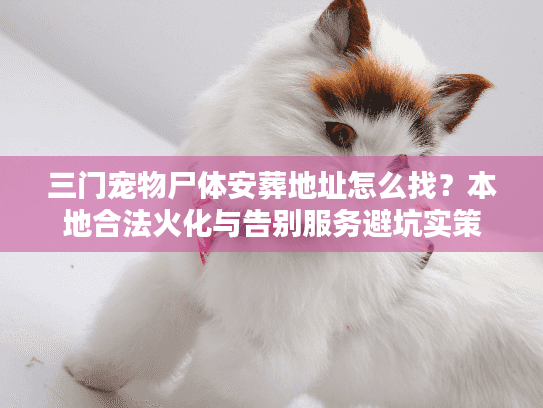 三门宠物尸体安葬地址怎么找?本地合法火化与告别服务避坑实策 三门宠物尸体安葬地址怎么找?本地合法火化与告别服务避坑实策