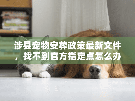 涉县宠物安葬政策最新文件,找不到官方指定点怎么办? 涉县宠物安葬政策最新文件,找不到官方指定点怎么办?