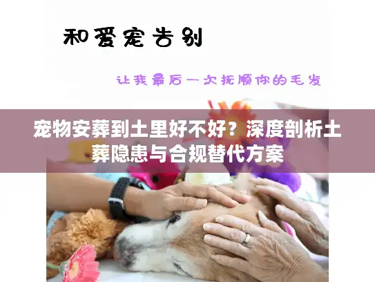 宠物安葬到土里好不好?深度剖析土葬隐患与合规替代方案 宠物安葬到土里好不好?深度剖析土葬隐患与合规替代方案