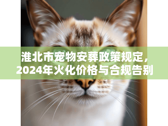 淮北市宠物安葬政策规定，2024年火化价格与合规告别全解