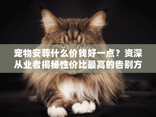 宠物安葬什么价钱好一点？资深从业者揭秘性价比最高的告别方式