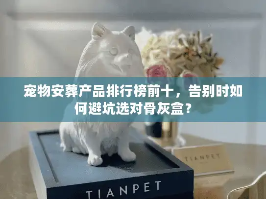 宠物安葬产品排行榜前十，告别时如何避坑选对骨灰盒？