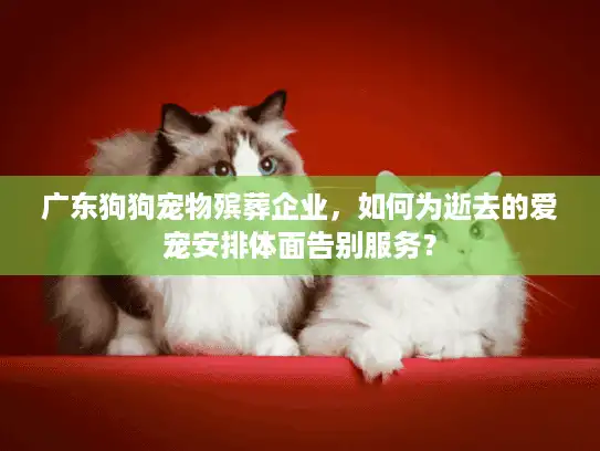 广东狗狗宠物殡葬企业，如何为逝去的爱宠安排体面告别服务？