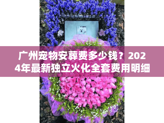 广州宠物安葬费多少钱？2024年最新独立火化全套费用明细