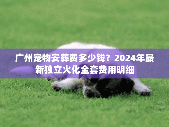 广州宠物安葬费多少钱？2024年最新独立火化全套费用明细