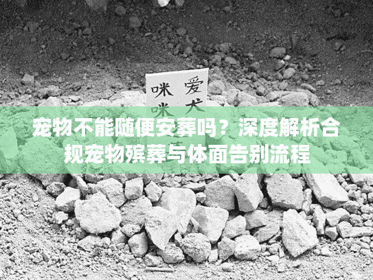 宠物不能随便安葬吗？深度解析合规宠物殡葬与体面告别流程