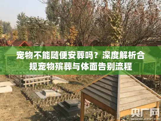 宠物不能随便安葬吗？深度解析合规宠物殡葬与体面告别流程