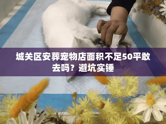 城关区安葬宠物店面积不足50平敢去吗？避坑实锤