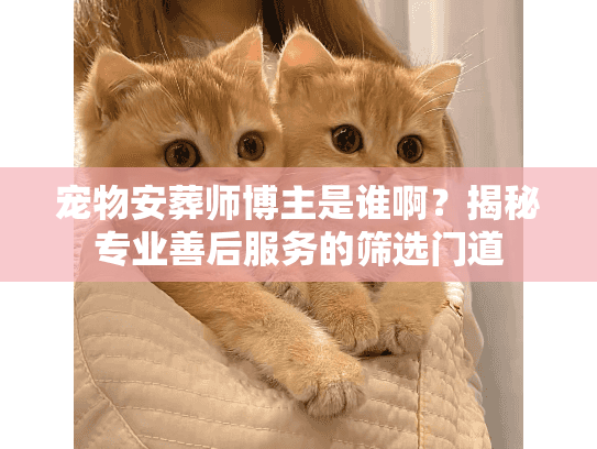 宠物安葬师博主是谁啊？揭秘专业善后服务的筛选门道