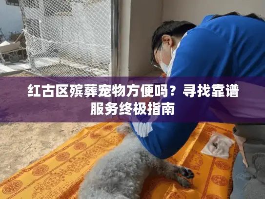 红古区殡葬宠物方便吗？寻找靠谱服务终极指南