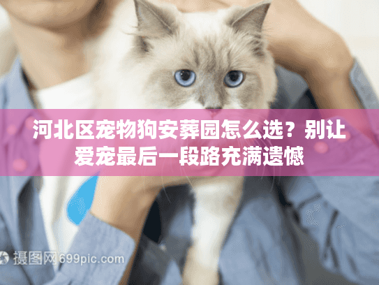 河北区宠物狗安葬园怎么选?别让爱宠最后一段路充满遗憾 河北区宠物狗安葬园怎么选?别让爱宠最后一段路充满遗憾
