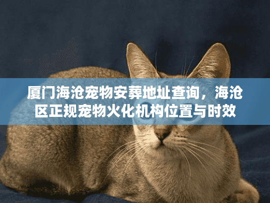 厦门海沧宠物安葬地址查询，海沧区正规宠物火化机构位置与时效