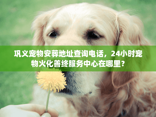 巩义宠物安葬地址查询电话，24小时宠物火化善终服务中心在哪里？