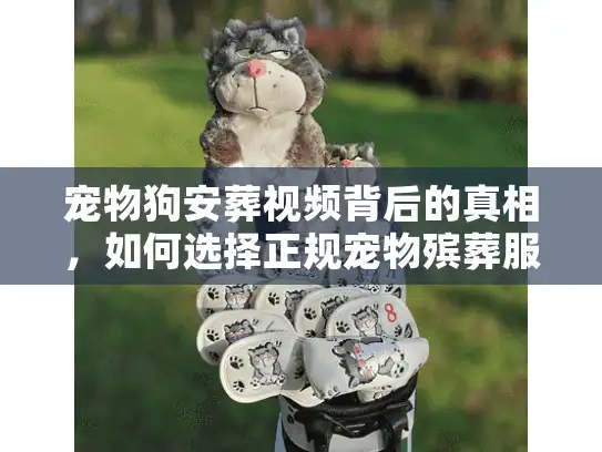 宠物狗安葬视频背后的真相，如何选择正规宠物殡葬服务？