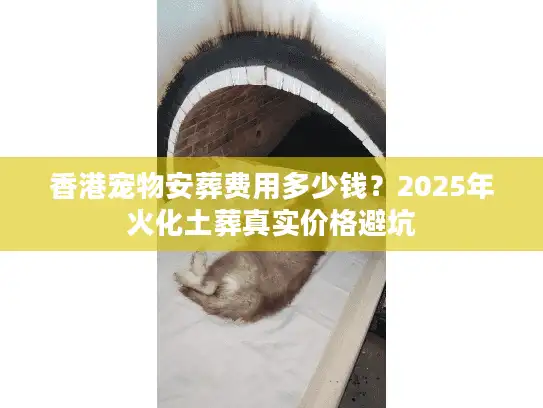 香港宠物安葬费用多少钱？2025年火化土葬真实价格避坑