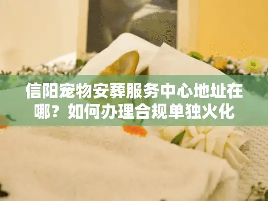信阳宠物安葬服务中心地址在哪？如何办理合规单独火化
