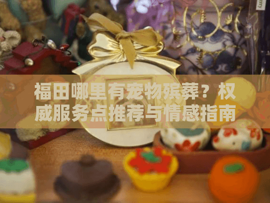 福田哪里有宠物殡葬?权威服务点推荐与情感指南 福田哪里有宠物殡葬?权威服务点推荐与情感指南