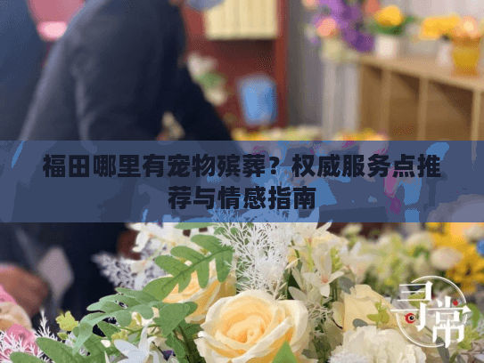 福田哪里有宠物殡葬?权威服务点推荐与情感指南 福田哪里有宠物殡葬?权威服务点推荐与情感指南
