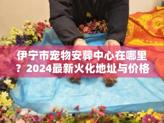 伊宁市宠物安葬中心在哪里？2024最新火化地址与价格内幕